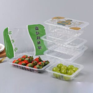 Fresh Keeping Food Container