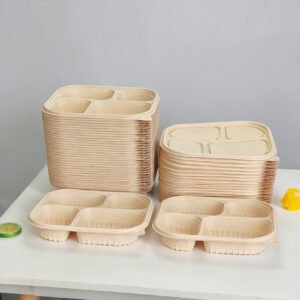Disposable Food Containers