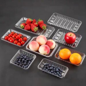 Disposable Food Tray
